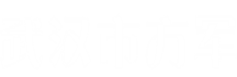 武汉市方军